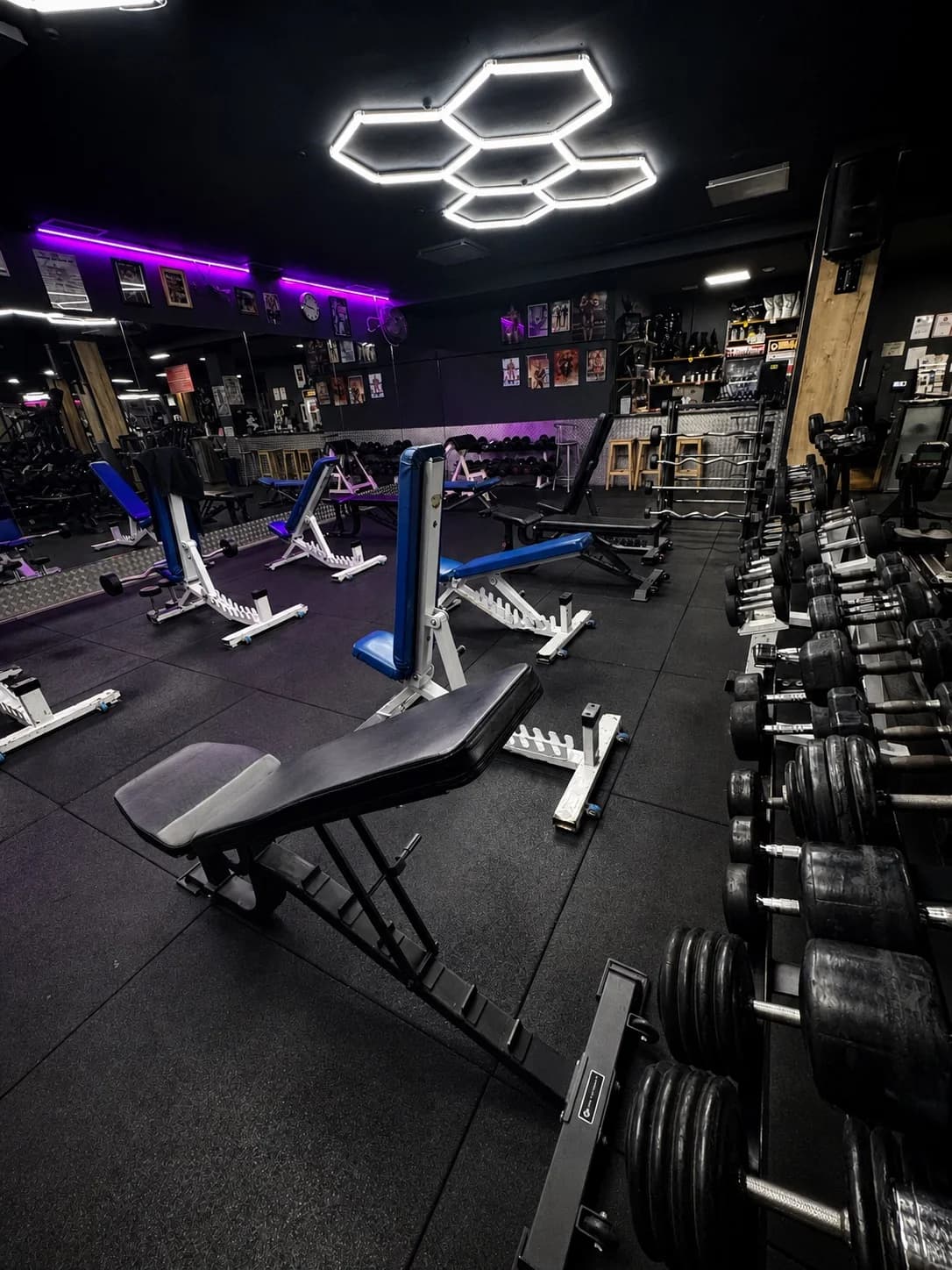 Sala de peso libre para comparar gimnasios de Fuengirola en 2026