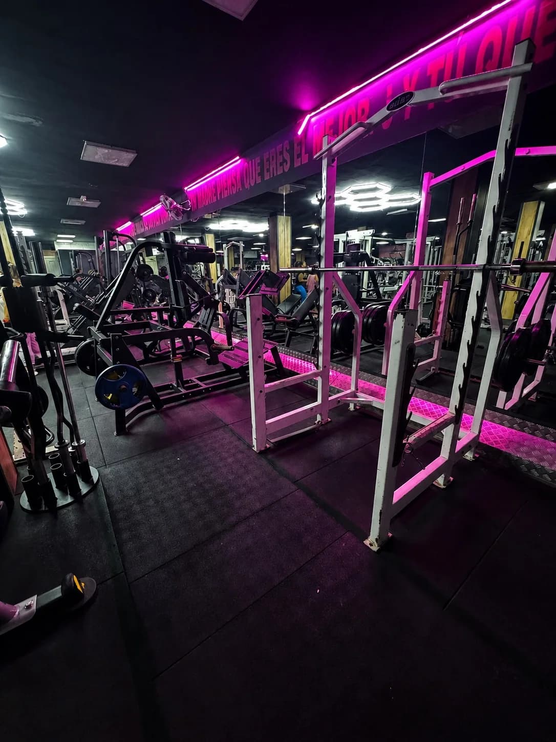 Barras, racks y peso libre en Nuevo Estilo Gym Fuengirola